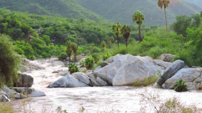 Semarnat Rejects “Uncle Checo Sanctuary” Project Over Documentation Gaps