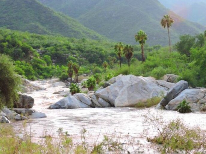 Semarnat Rejects “Uncle Checo Sanctuary” Project Over Documentation Gaps