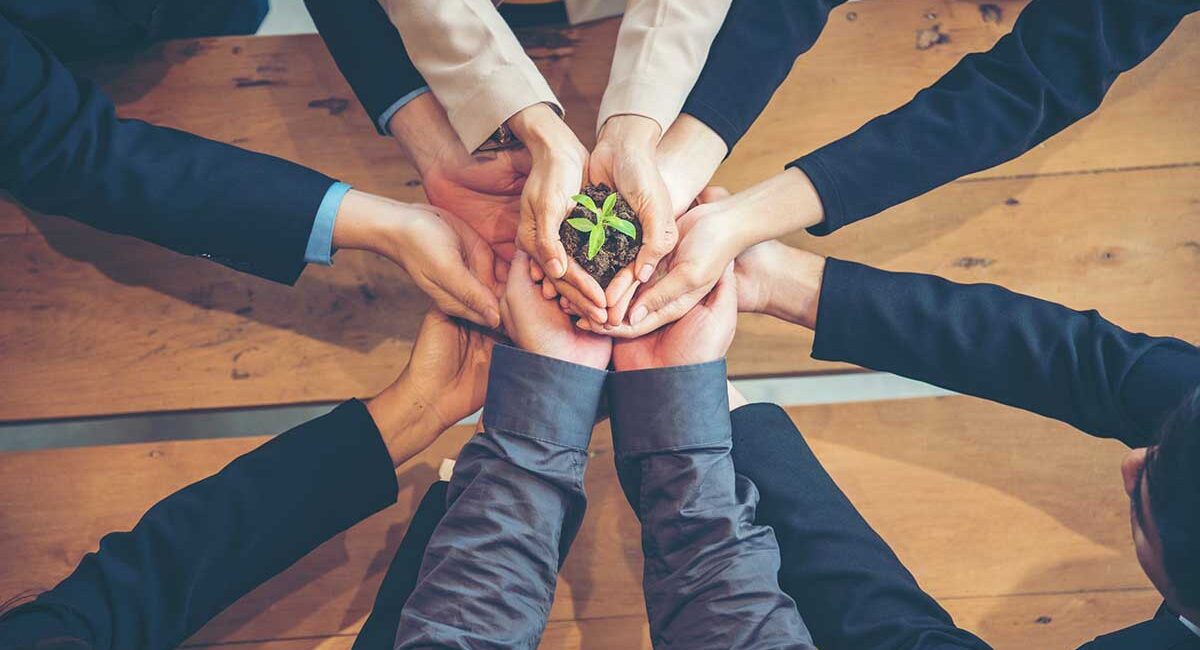 Group of hands from several people gathered in a circle, holding a small seedling together to symbolize teamwork and growth.