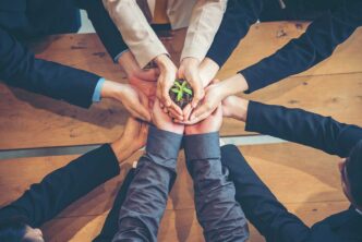 Group of hands from several people gathered in a circle, holding a small seedling together to symbolize teamwork and growth.