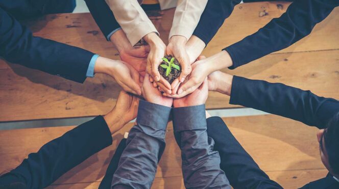Group of hands from several people gathered in a circle, holding a small seedling together to symbolize teamwork and growth.