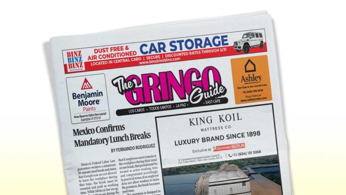 Front page of The Gringo Guide newspaper with a bold pink masthead and ads for car storage, King Koil mattresses, and Benjamin Moore paints.