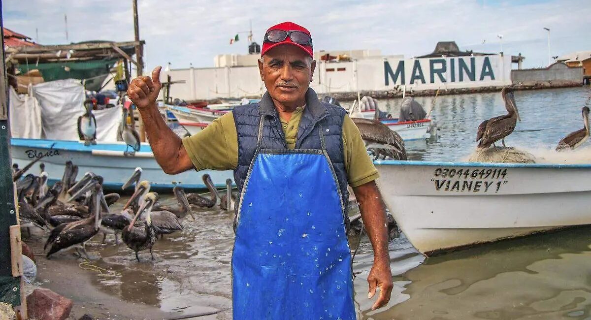Fisherman in a blue apron and red cap gives a thumbs up at a busy marina with boats and pelicans nearby.
