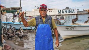 Fisherman in a blue apron and red cap gives a thumbs up at a busy marina with boats and pelicans nearby.