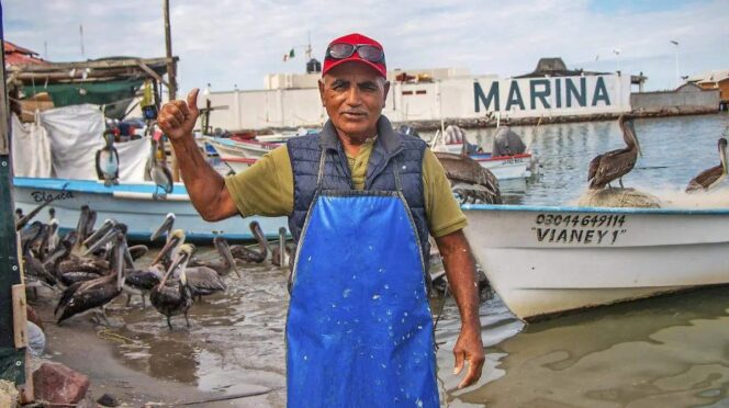 Fisherman in a blue apron and red cap gives a thumbs up at a busy marina with boats and pelicans nearby.