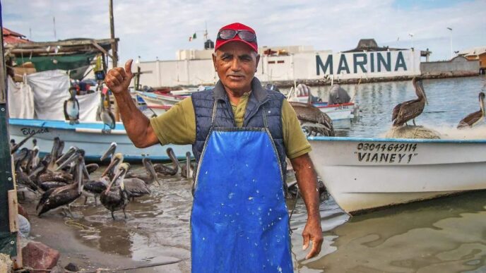 Fisherman in a blue apron and red cap gives a thumbs up at a busy marina with boats and pelicans nearby.