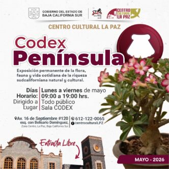 Poster for Codex Península exhibition at Centro Cultural La Paz, with logos, large title, flowers, and venue/date details in Spanish (May 2026).