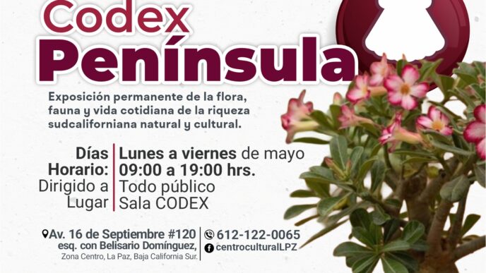 Poster for Codex Península exhibition at Centro Cultural La Paz, with logos, large title, flowers, and venue/date details in Spanish (May 2026).