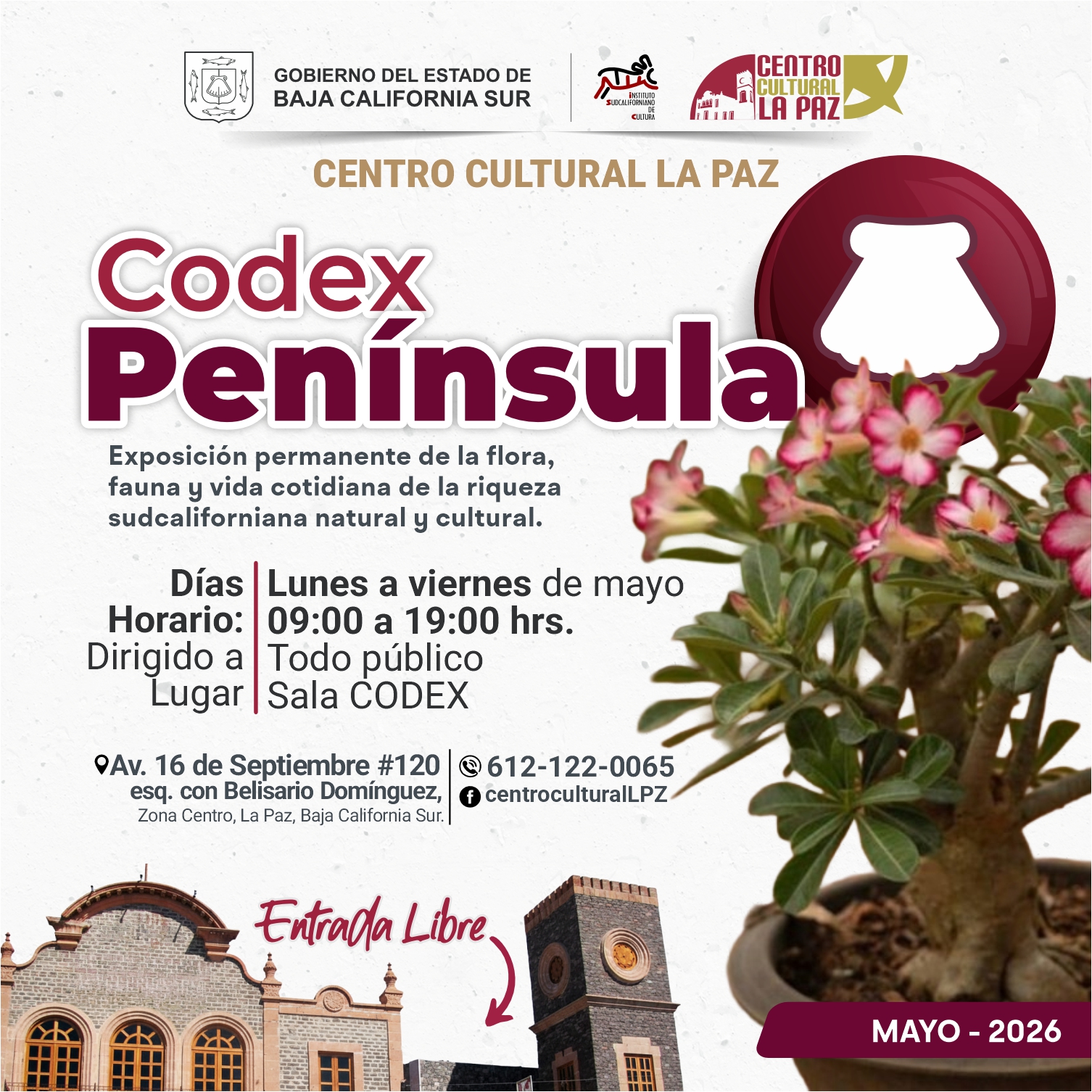 Poster for Codex Península exhibition at Centro Cultural La Paz, with logos, large title, flowers, and venue/date details in Spanish (May 2026).
