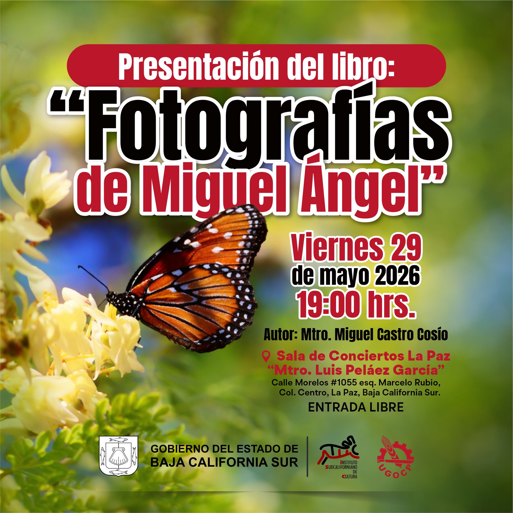 Fotografias de miguel angel - Gringo Gazette Poster promoting a book: 'Presentación del libro: Fotografías de Miguel Ángel' with a monarch butterfly on yellow flowers as background
