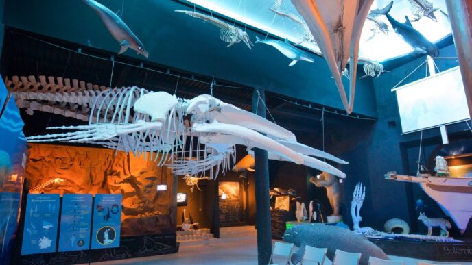 Blue-lit museum gallery with large white skeletons hanging from the ceiling, fossil displays along the walls, and several white chairs in the foreground.