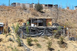 Makeshift hillside dwelling encased in black plastic tarp, wood framing, and a chain-link fence, with a terraced garden.