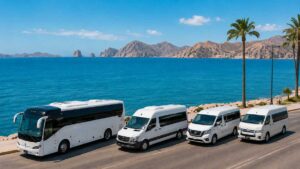 Line of white passenger vehicles—a tour bus and vans—parked along a coastal road by blue sea, with palm trees and rocky hills in the distance.