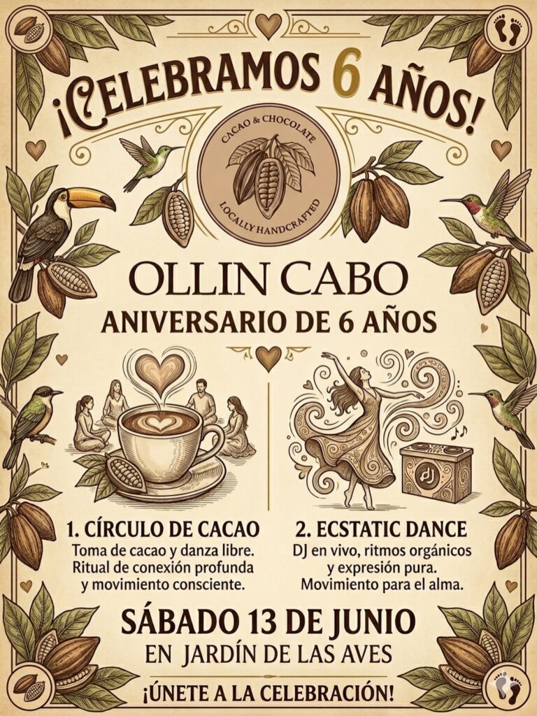 Poster anunciando 6º aniversario de Ollin Cabo con cacao y chocolate, con motivos de hojas, aves y cacao.