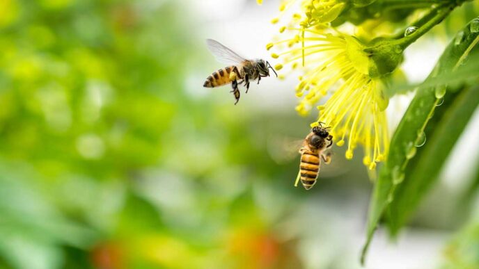 Two bees hover near a bright yellow flower with many stamens in a green garden backdrop, captured in macro detail.