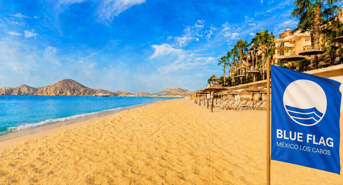 Blue Flag banner on a sunny Cabo beach with lounge chairs, umbrellas, and palm trees along the shore.