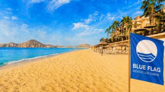 Blue Flag banner on a sunny Cabo beach with lounge chairs, umbrellas, and palm trees along the shore.