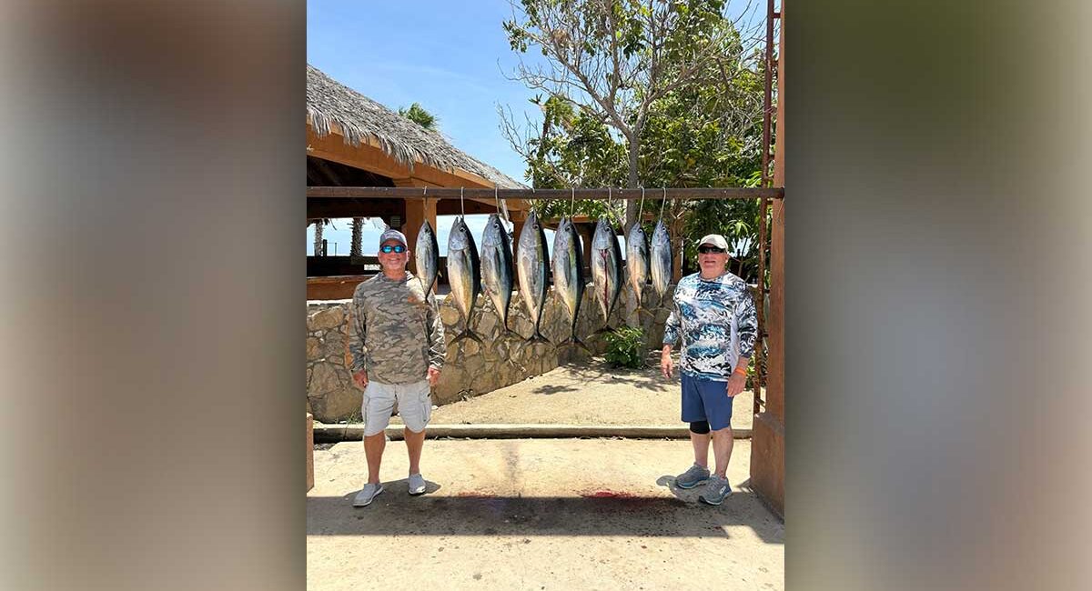 Two men stand on a sunny patio beside a rack of large fish hanging to dry.