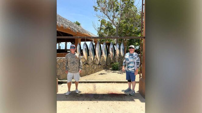 Two men stand on a sunny patio beside a rack of large fish hanging to dry.