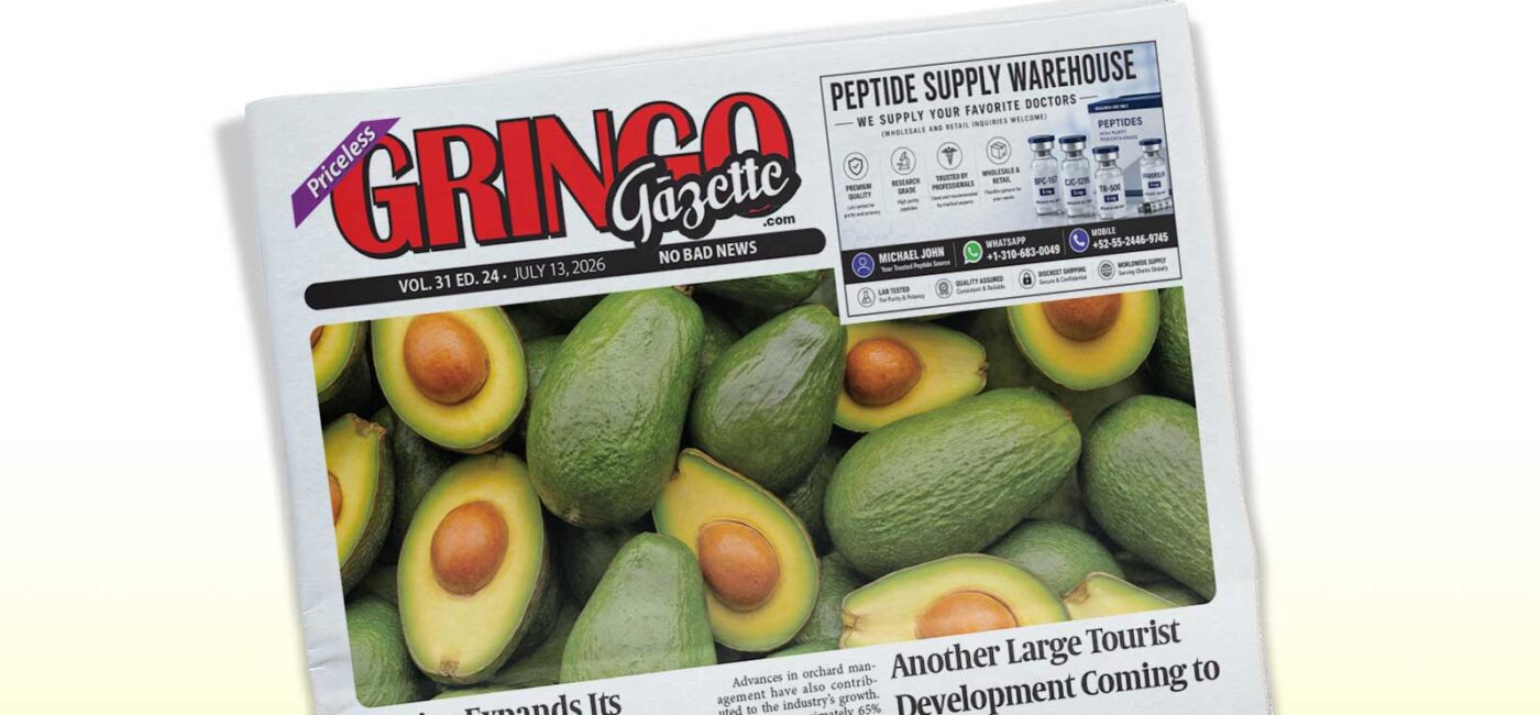 Newspaper front page titled 'GRINGO Gazette' with a large avocado photo spread across the front page, tilted at an angle.