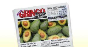 Newspaper front page titled 'GRINGO Gazette' with a large avocado photo spread across the front page, tilted at an angle.