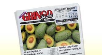Newspaper front page titled 'GRINGO Gazette' with a large avocado photo spread across the front page, tilted at an angle.