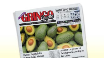 3124 - Gringo Gazette Newspaper front page titled 'GRINGO Gazette' with a large avocado photo spread across the front page, tilted at an angle.