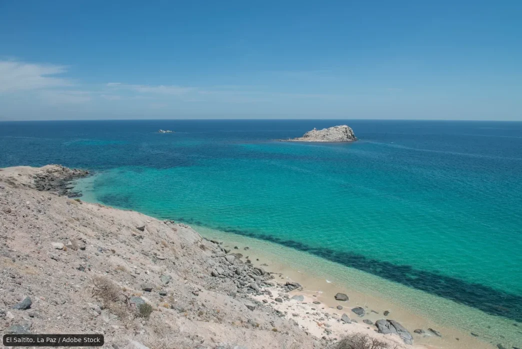 Golf Resort Plan Would Clear 109 Hectares of Desert at El Saltito