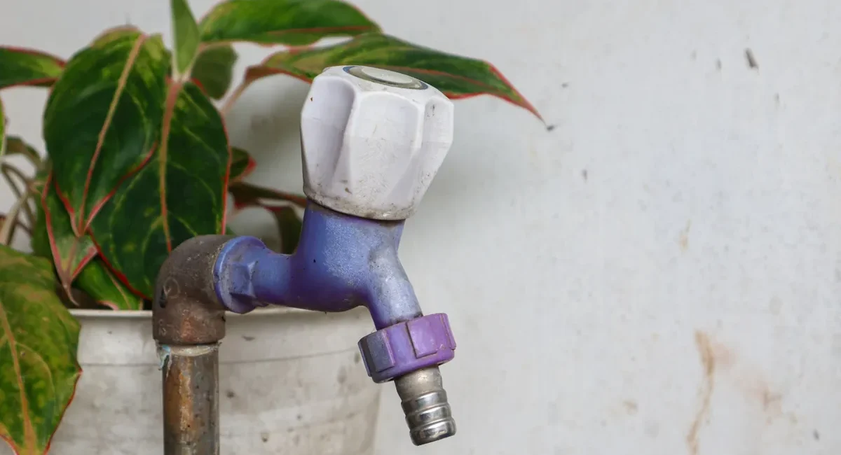 La Paz Deploys 5.2 Million Liters of Treated Water Across Parks and Streets - Gringo Gazette La Paz Deploys 5.2 Million Liters of Treated Water Across Parks and Streets