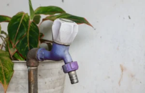 La Paz Deploys 5.2 Million Liters of Treated Water Across Parks and Streets