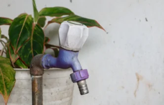 La Paz Deploys 5.2 Million Liters of Treated Water Across Parks and Streets