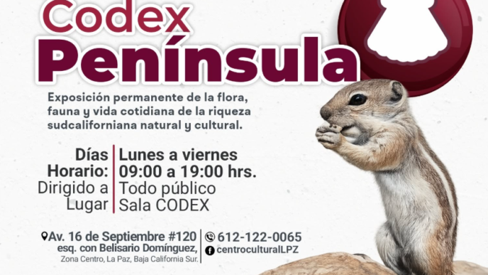 Promotional poster for Codex Península at Centro Cultural La Paz; features a squirrel on a rock, bold 'Codex Península' title, and exhibition details (flora, fauna, and local culture). Schedule: Monday–Friday, 09:00–19:00; location: Sala CODEx, Av. 16 de Septiembre #120, zona Centro, La Paz. Includes 'Entrada Libre' and July 2026.