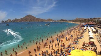 Los-Cabos-1 - Gringo Gazette Crowded golden-sand beach with bright yellow umbrellas, sunbathers, and swimmers under a blue sky.