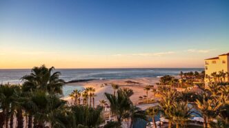 caboSunrise - Gringo Gazette Sunset over a tropical beach with palm trees, a pool area in the foreground, and a calm sea beyond.