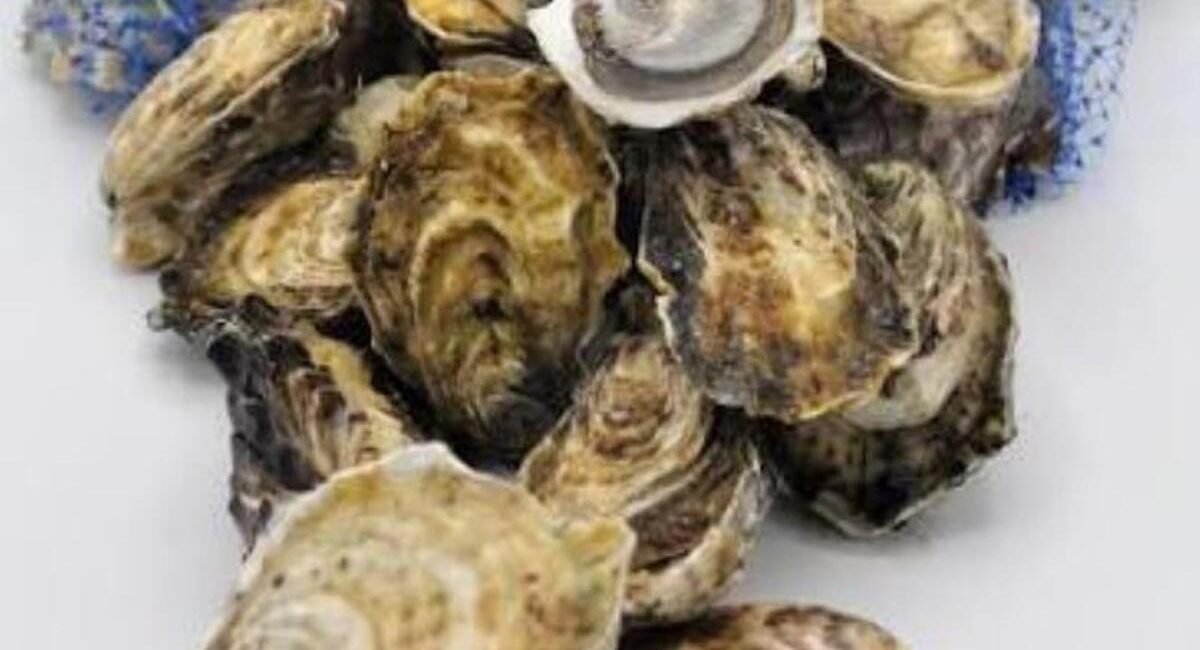 Pile of opened oyster shells on a white surface with a blue bag in the background, stack of mollusks ready to eat