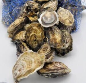 Pile of opened oyster shells on a white surface with a blue bag in the background, stack of mollusks ready to eat