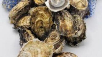 Pile of opened oyster shells on a white surface with a blue bag in the background, stack of mollusks ready to eat