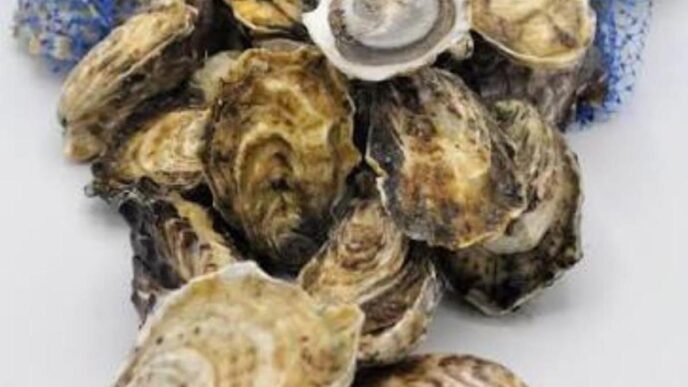 Pile of opened oyster shells on a white surface with a blue bag in the background, stack of mollusks ready to eat