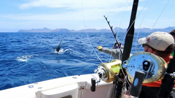 Fishermen on a boat in the open sea reach toward a diver in the water as fishing gear sits on the railing and distant islands appear on the horizon.