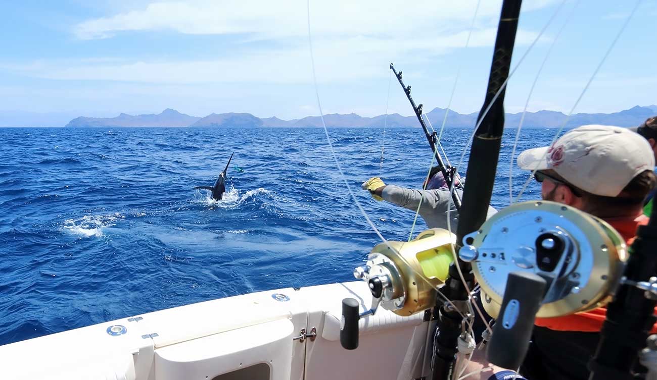 Edition Maja El Grande Tournament Adds El Gran Ceviche and Waiters' Race in La Paz