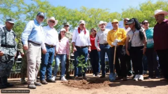 La Paz Kicks Off Statewide Reforestation Push