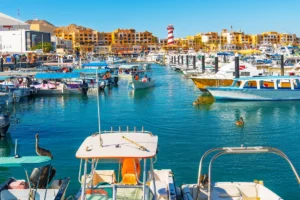 Busy marina with colorful boats docked along piers, turquoise water, and yellow buildings in the background.