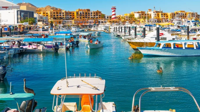 Busy marina with colorful boats docked along piers, turquoise water, and yellow buildings in the background.