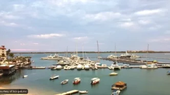 La Paz Port Authority Urges Boaters to Register After Six Vessels Abandoned