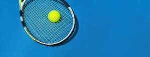 Arthur Gea Claims First ATP Title at Los Cabos Open 250