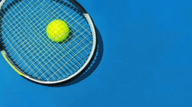 Arthur Gea Claims First ATP Title at Los Cabos Open 250