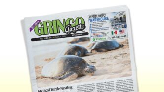 Tilted newspaper on sand with sea turtles crawling along the beach; header reads Gringo Gazette (informative image).