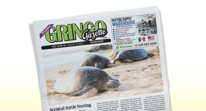 Tilted newspaper on sand with sea turtles crawling along the beach; header reads Gringo Gazette (informative image).