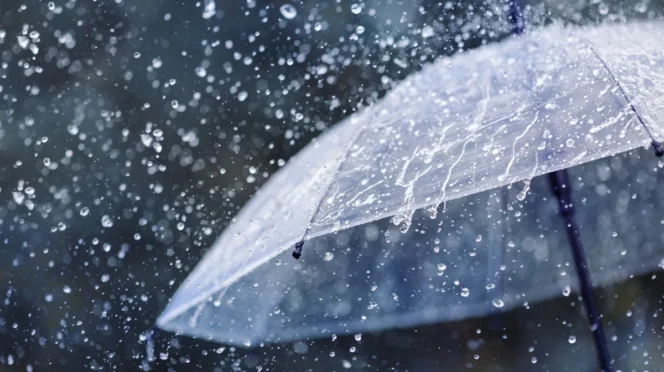 Los Cabos Braces for Heavy Rain This Afternoon