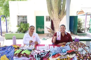 Baja Sur Leads Mexico in Women’s Employment